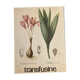 Affiche botanique Colchicum autumnale