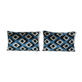 Paire de coussins