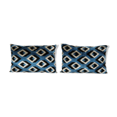 Paire de coussins