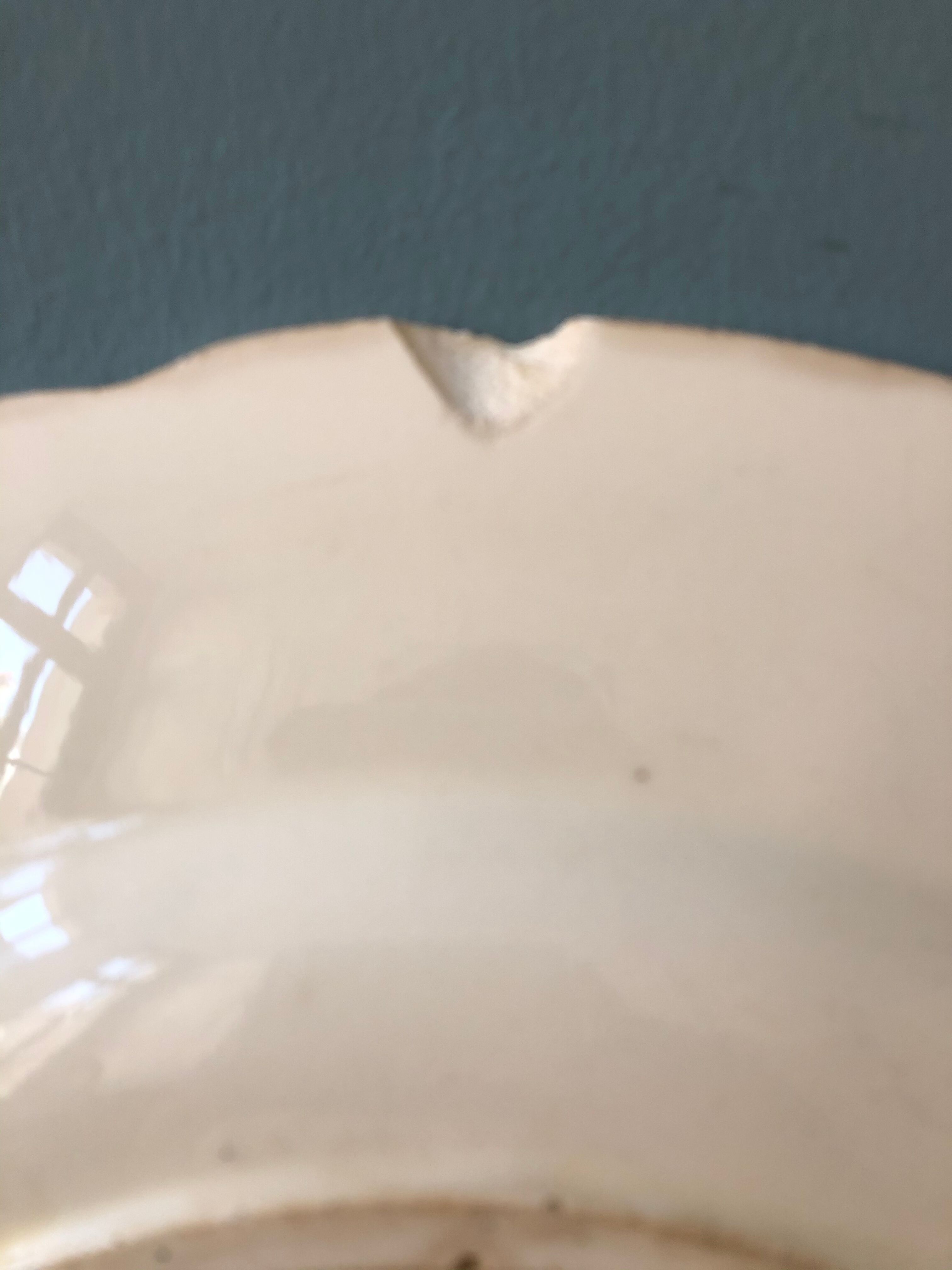 Plat en porcelaine de Gien