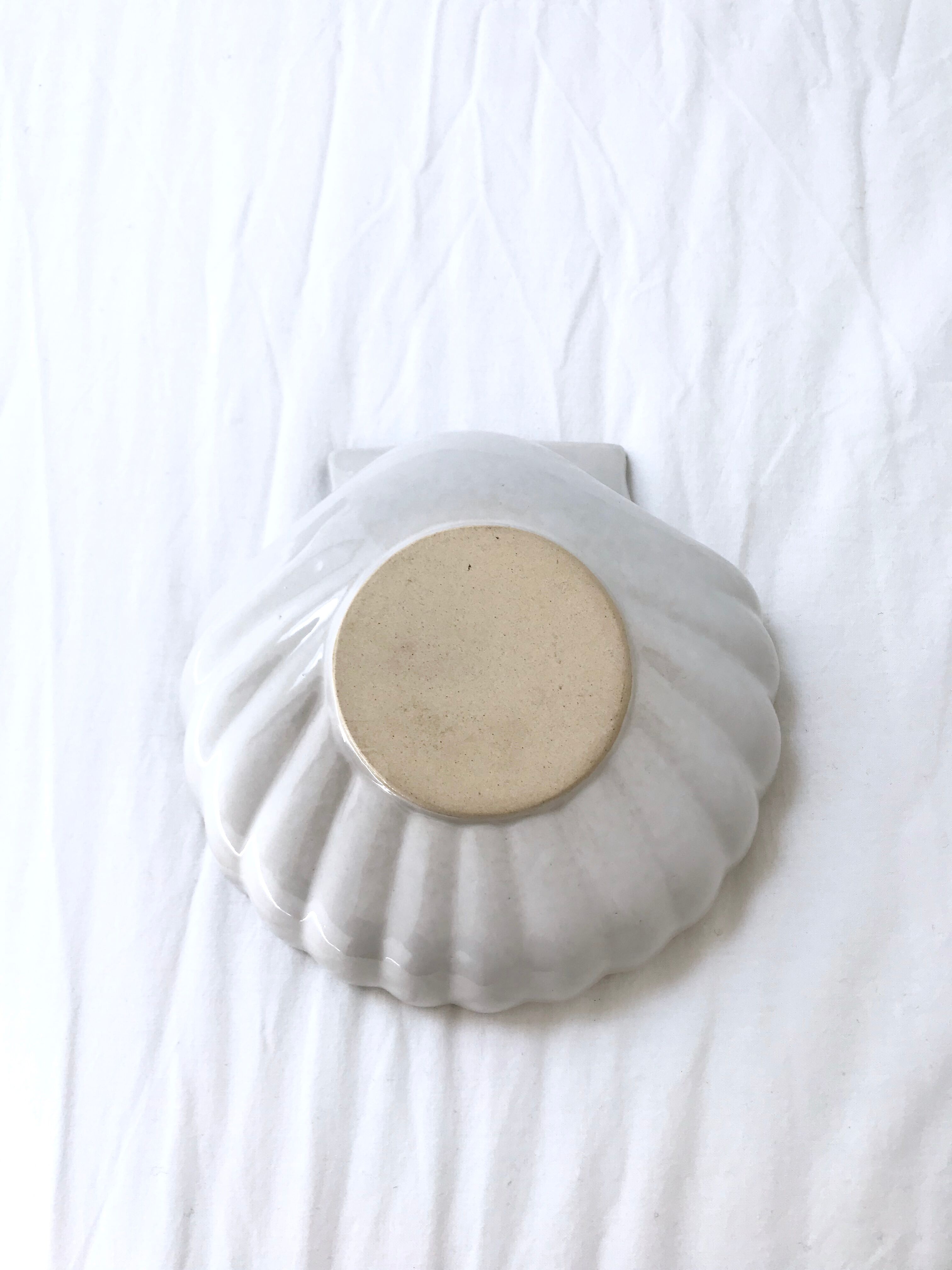 Shell ceramics