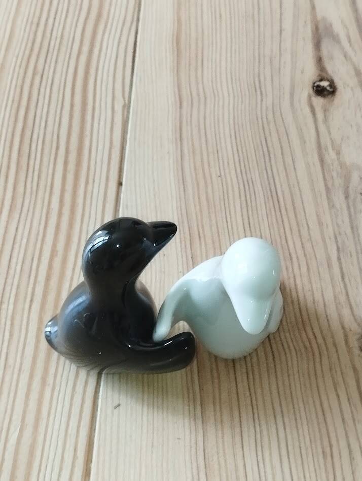 Duo de salières pingouins noir et blanc