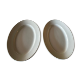 Earthenware dishes