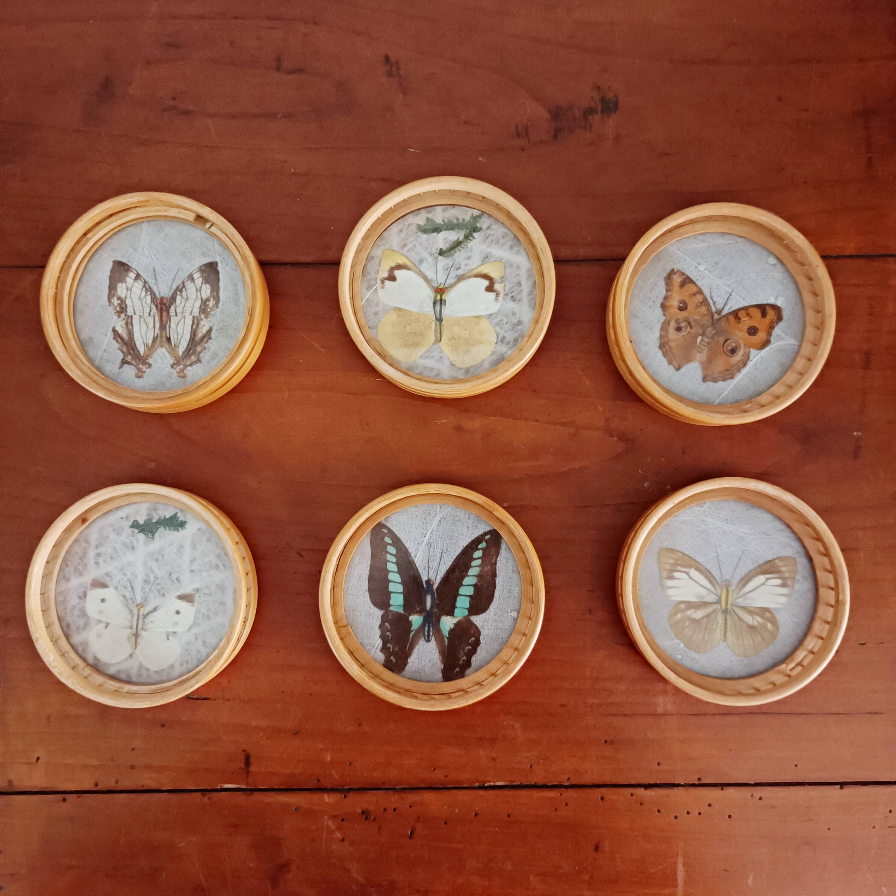 Set of 6 butterfly coasters