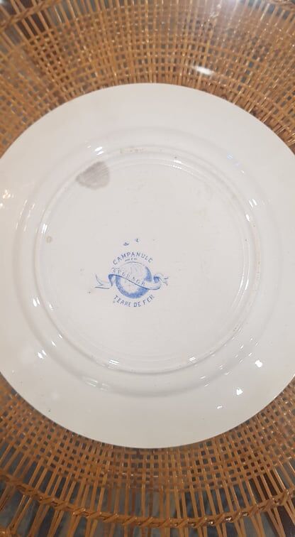 Plate in Iron Earth model Campanula