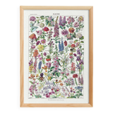 Affiche sur les fleurs, d'après une lithographie de 1922