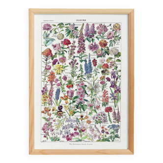 Poster about flowers, after a 1922 lithograph