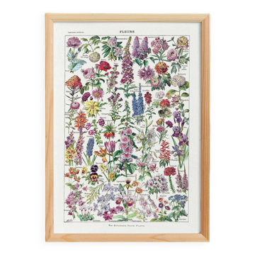 Affiche sur les fleurs, d'après une lithographie de 1922