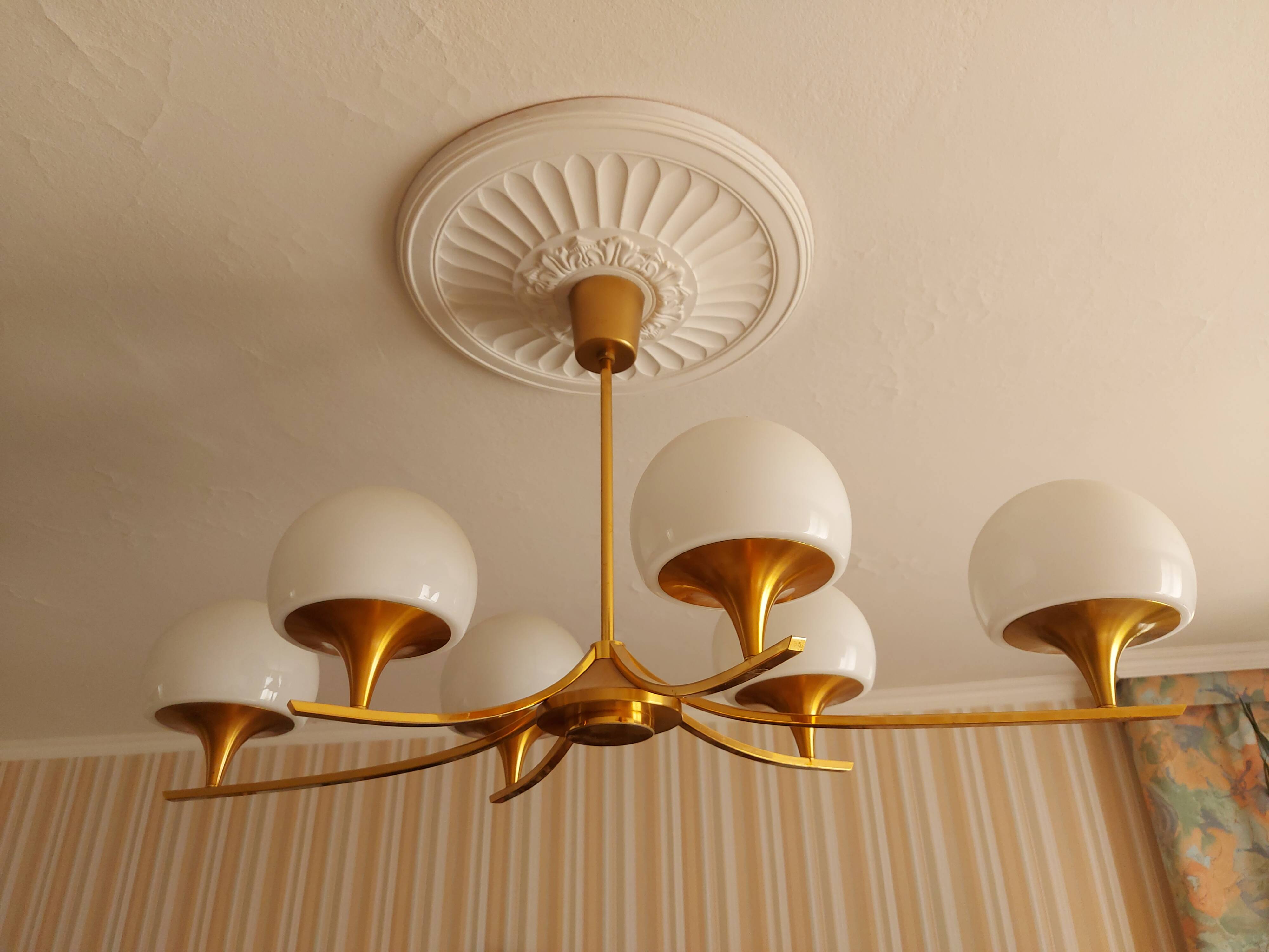 sciolari 6 lights chandelier