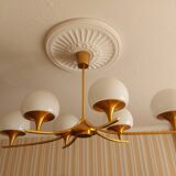 sciolari 6 lights chandelier