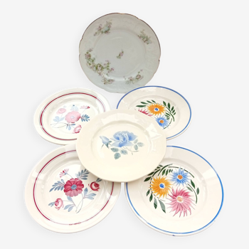 Assortiment de 6 assiettes plates