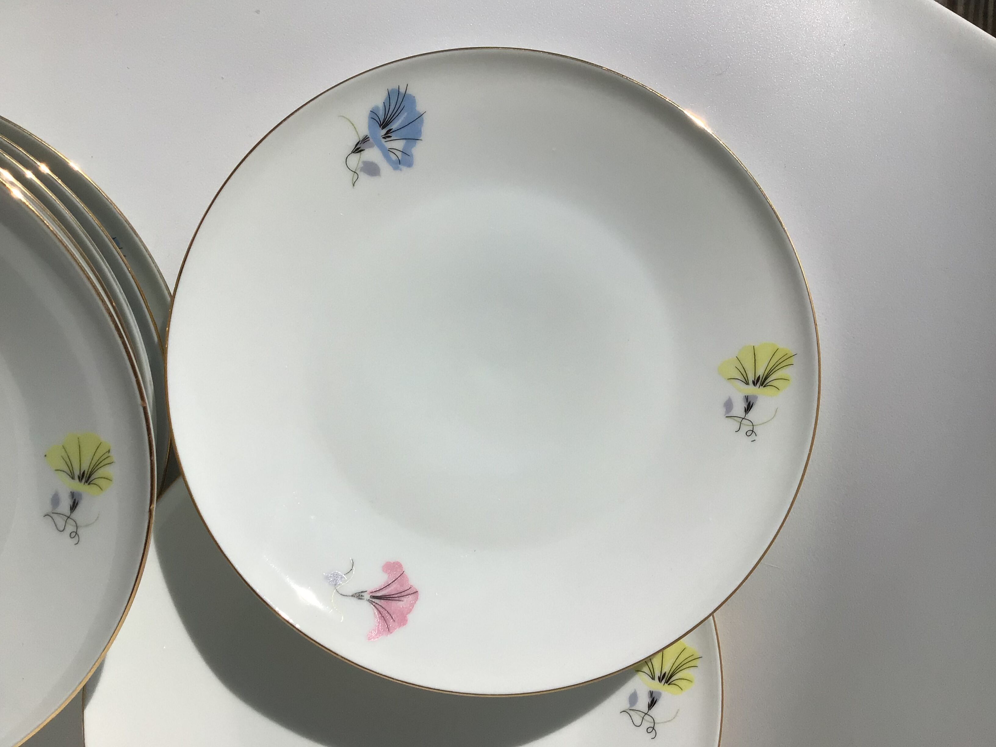 10 plates dessert porcelain decoration flowers 50's melitta
