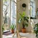 Bohemian coat rack / wooden coat rack