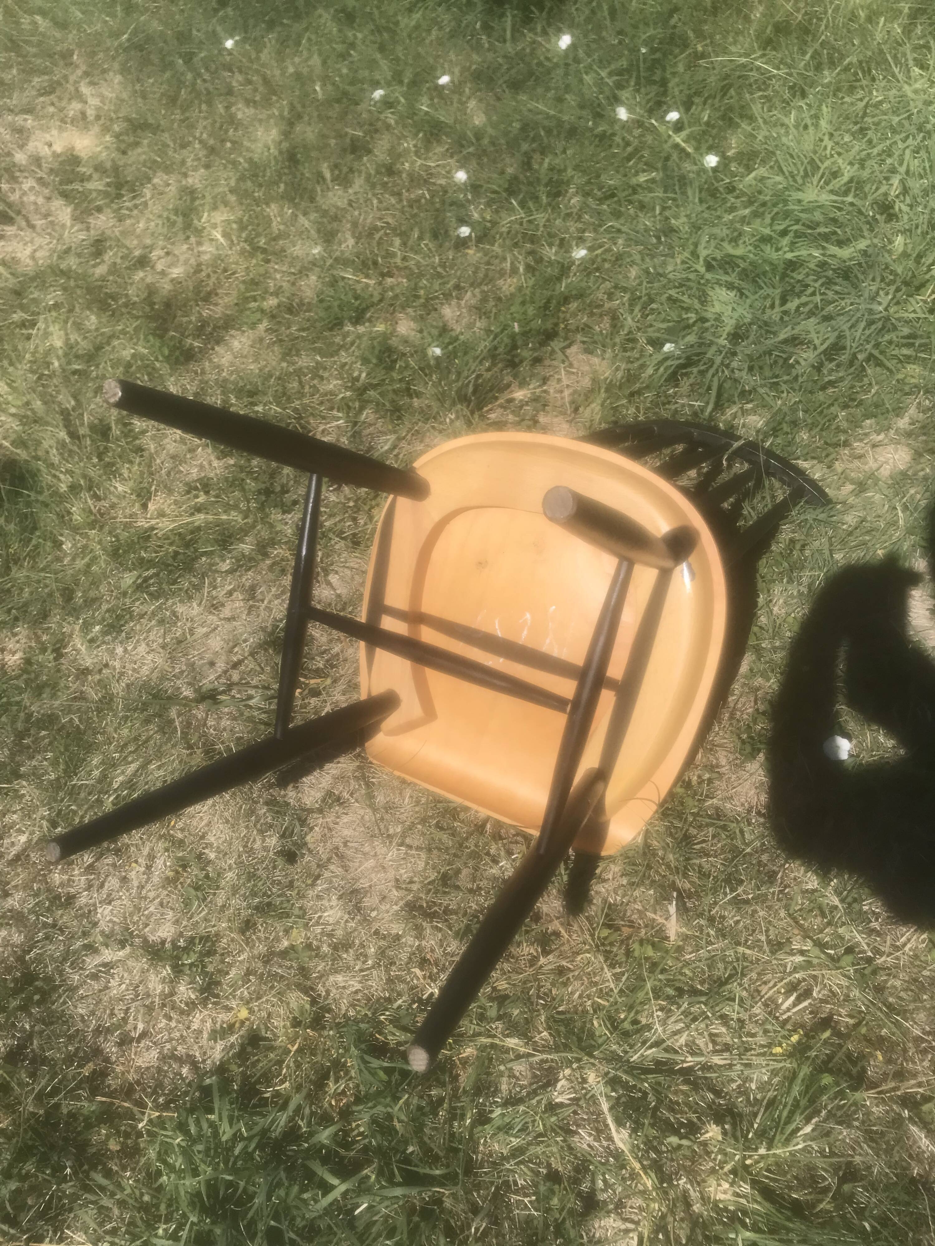 Fanett chair by Ilmari Tapiovaara