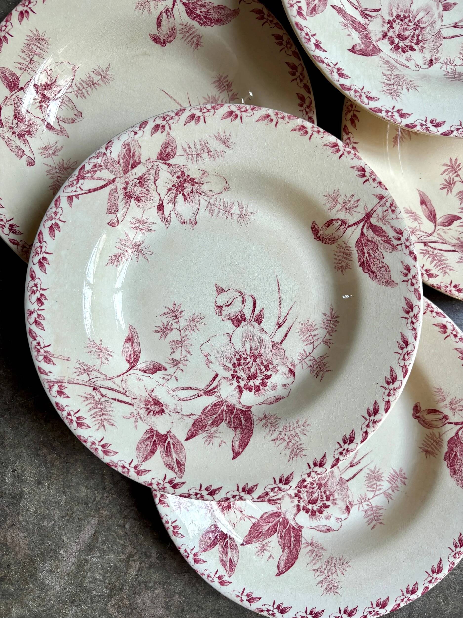 6 pink ironstone deep plates from Gien, "Roses de Noël" service.