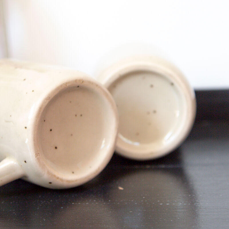 2 tea cups in speckled sandstone flowers rosa canina