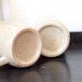 2 tea cups in speckled sandstone flowers rosa canina