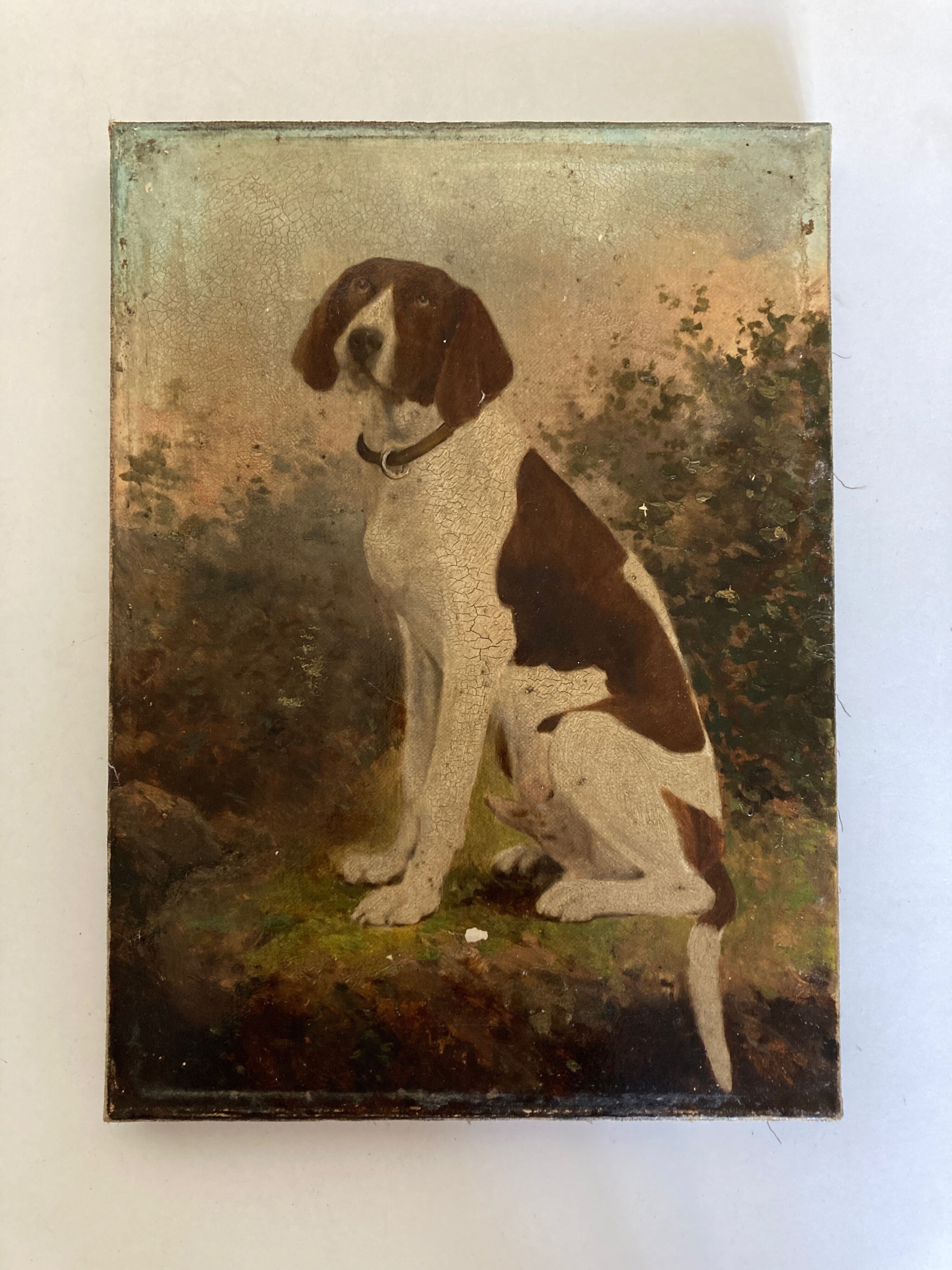 Portrait of country dog oil on canvas 1900