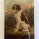 Portrait of country dog oil on canvas 1900