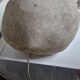 Cazenave lamp