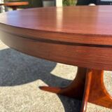 Baumann extendable table