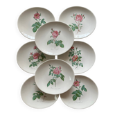 8 earthenware plates Salins - Rose de Redouté