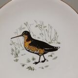 6 flat plates Gien Marly "birds of the forests"