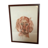 Aquarelle de chien setter