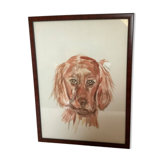 Setter dog watercolor