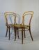 Two chairs No. 14, circa 1890 by Fuchs and Freud Bielitz, original patina