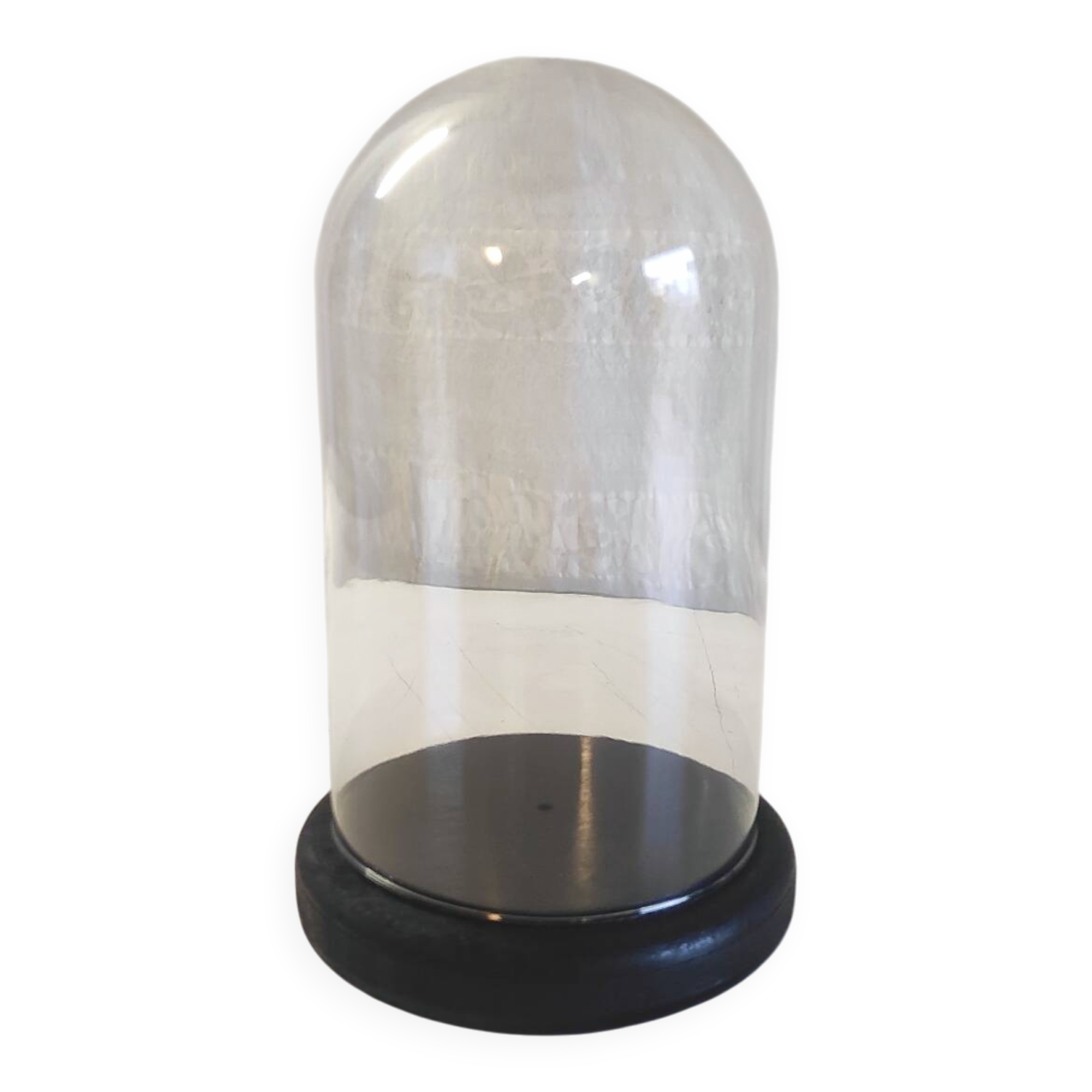 Glass globe and black wooden base - mid 20th century