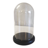 Glass globe and black wooden base - mid 20th century