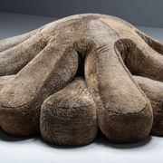 Edra Aster Papposus sofa by Fernando & Humberto Campana, Italy, 2006