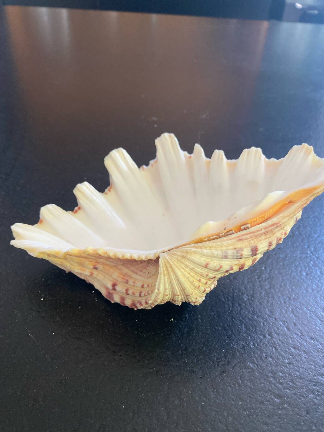 Empty shell stoup pocket