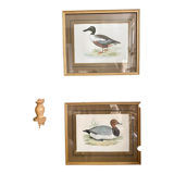 Set of two english engravings