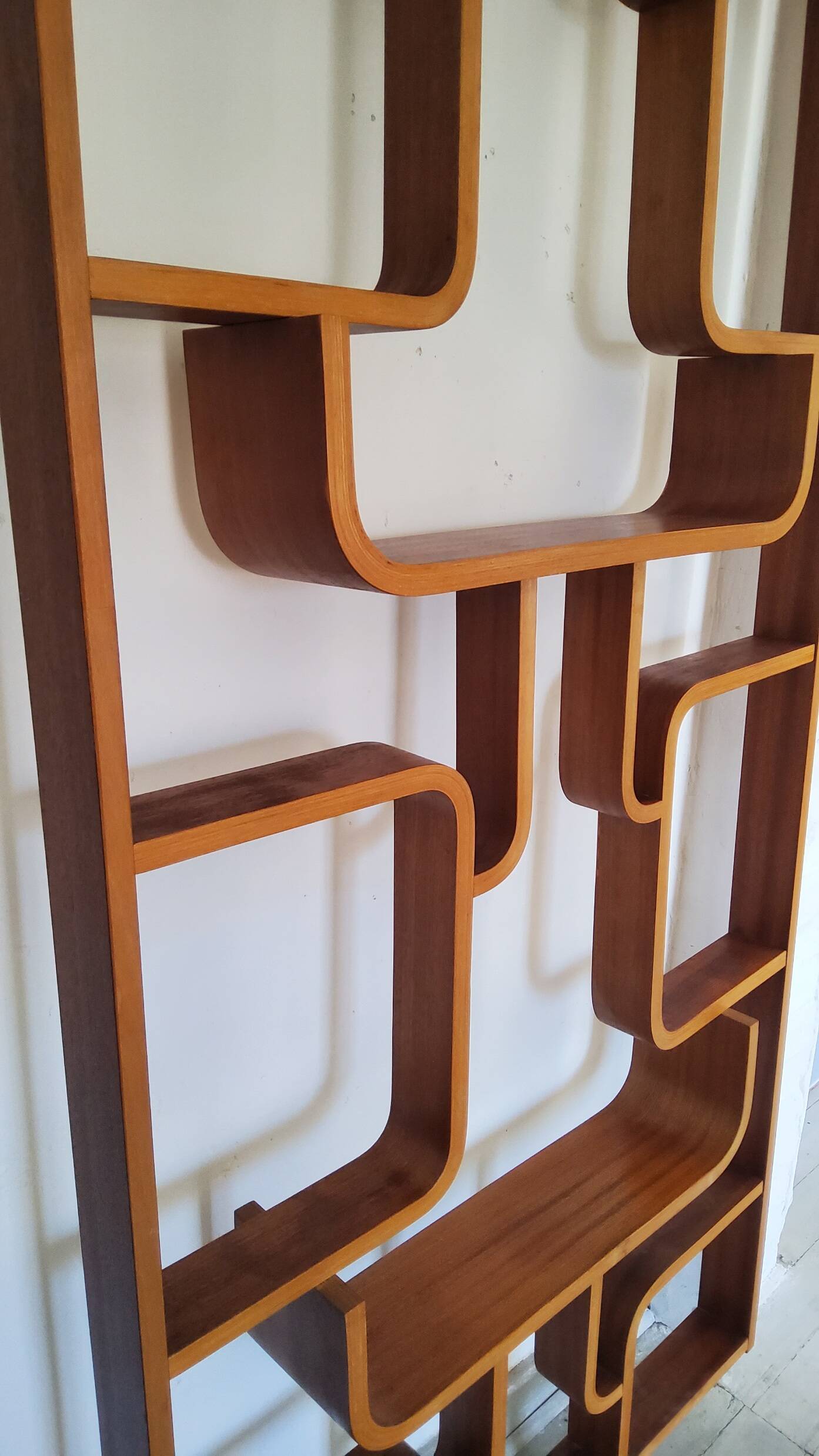 Vintage Czech screen by Ludvik Volak, 1960 for Drevopodnik Holesov