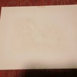 Lithograph signed Puybareau