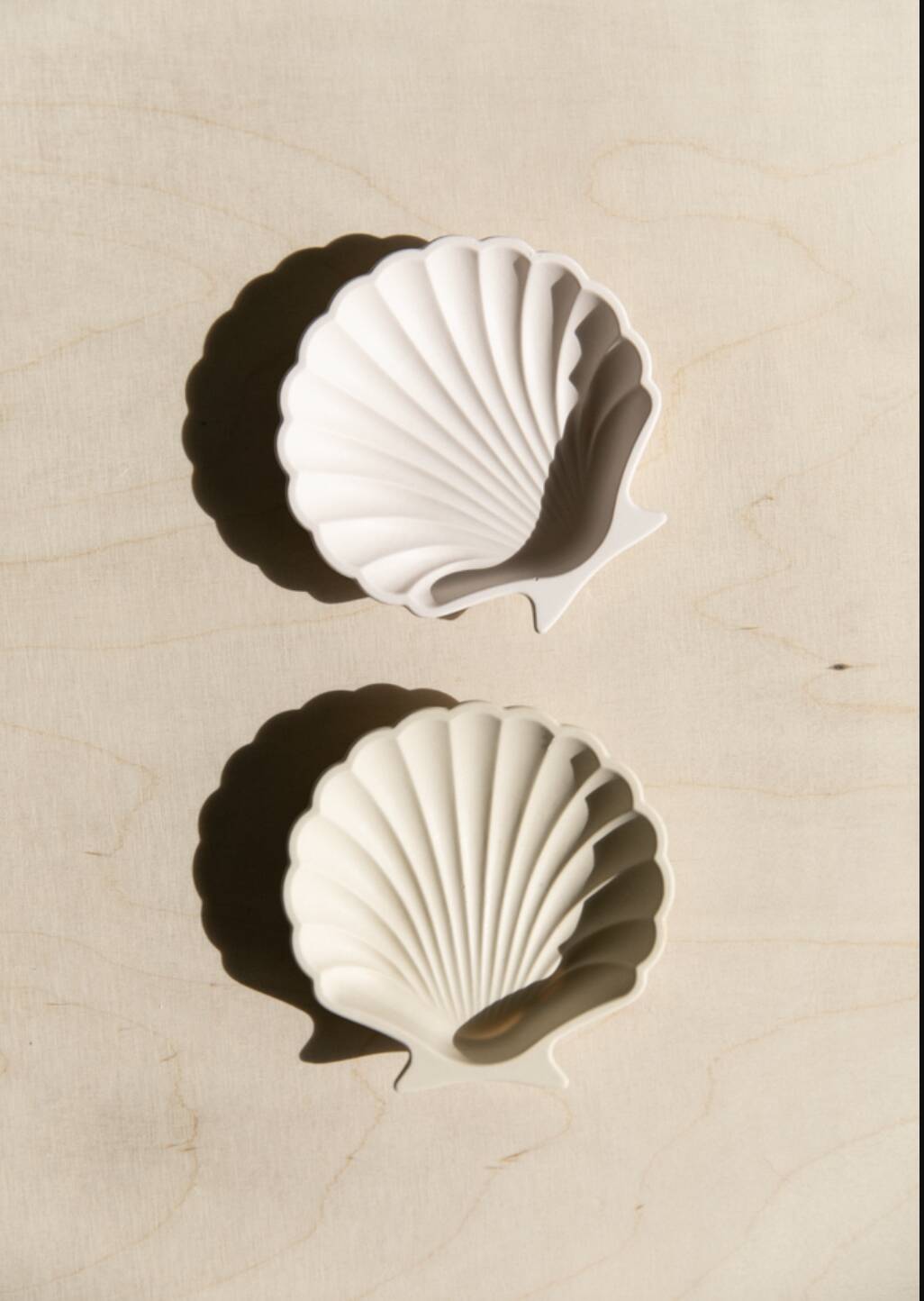 Empty pocket in shell-shaped jesmonite