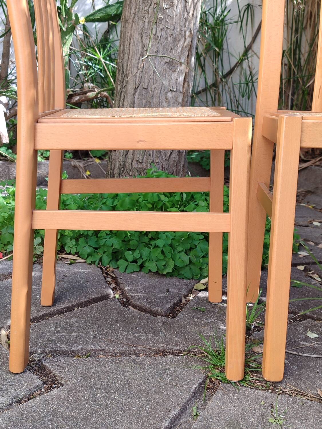 Chaises en bois et cannage