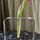 Soliflore en verre Heiner Dusterhaus 1970s
