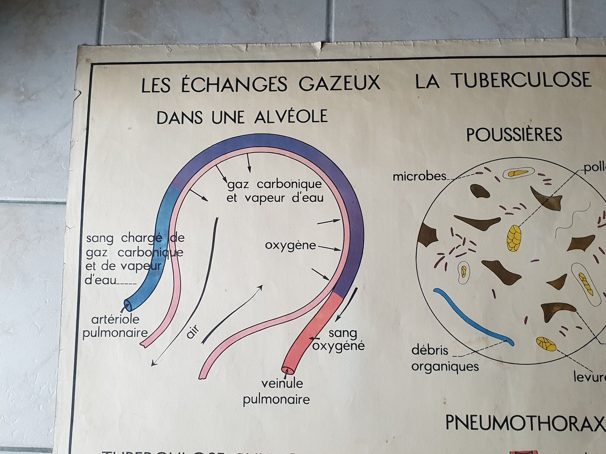 School poster Rossignol