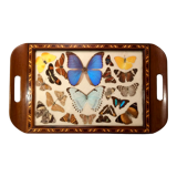 Real butterfly tray, 1940s
