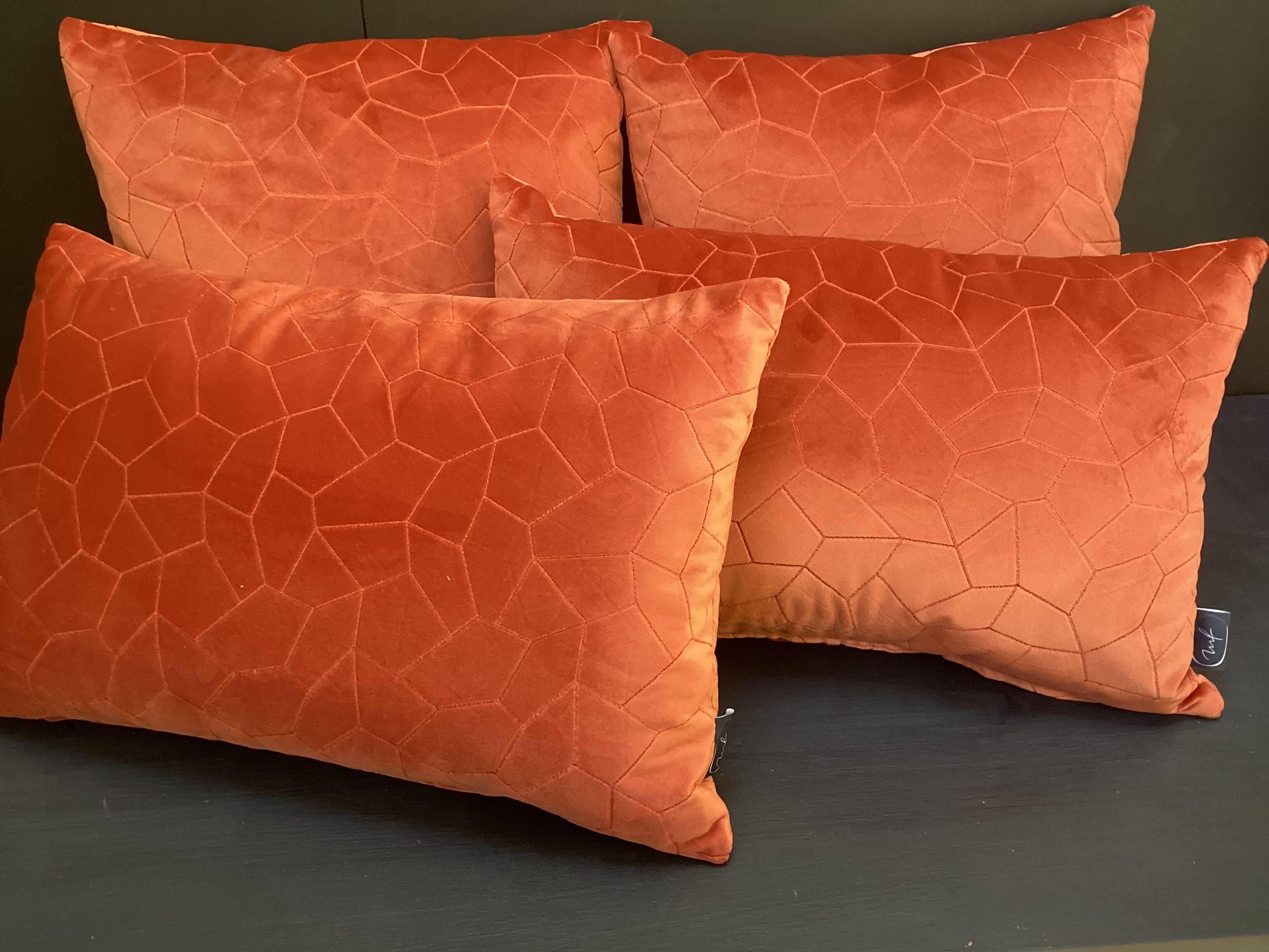 Duo of rust velvet cushions 50x50/40x58 cm