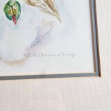 Aquarelle signée D.Desser oiseaux et fleurs