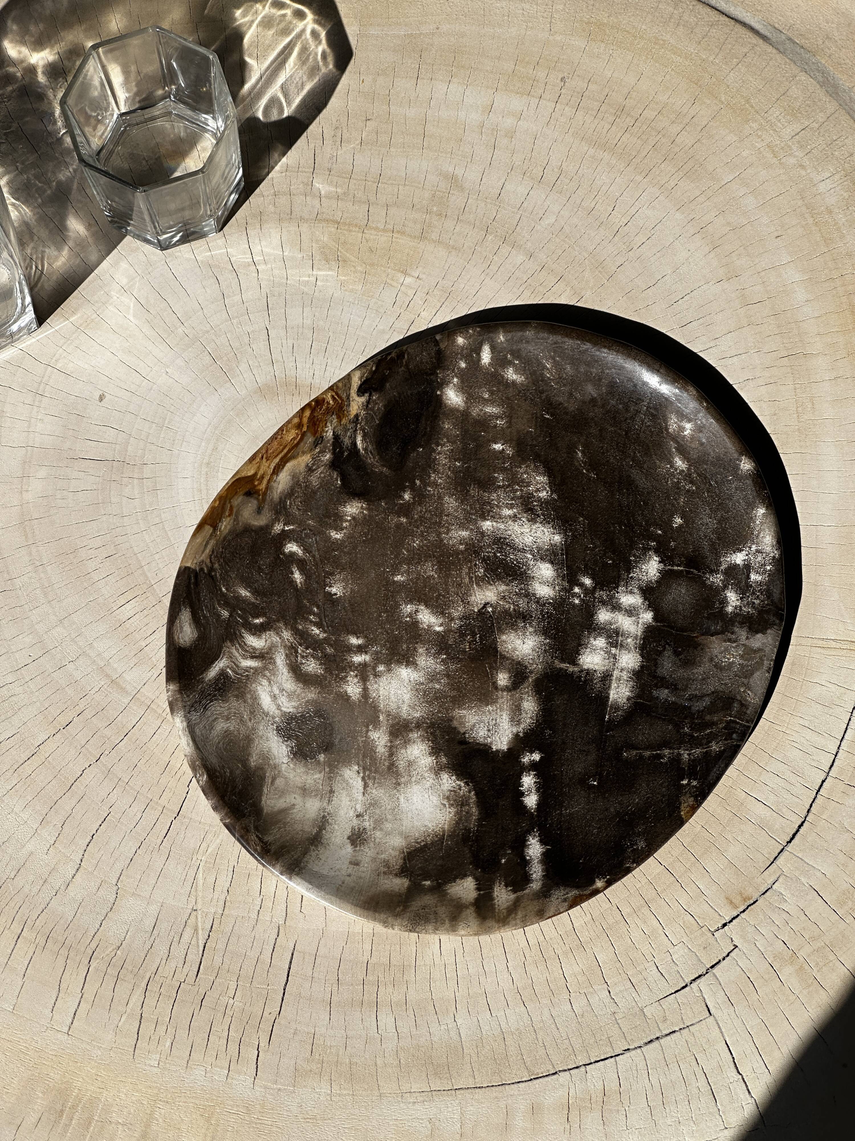 Dish in petrified wood