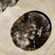 Dish in petrified wood