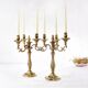 Pair of antique 6-arm bronze candelabras, 19th century