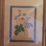 Pink botanical board