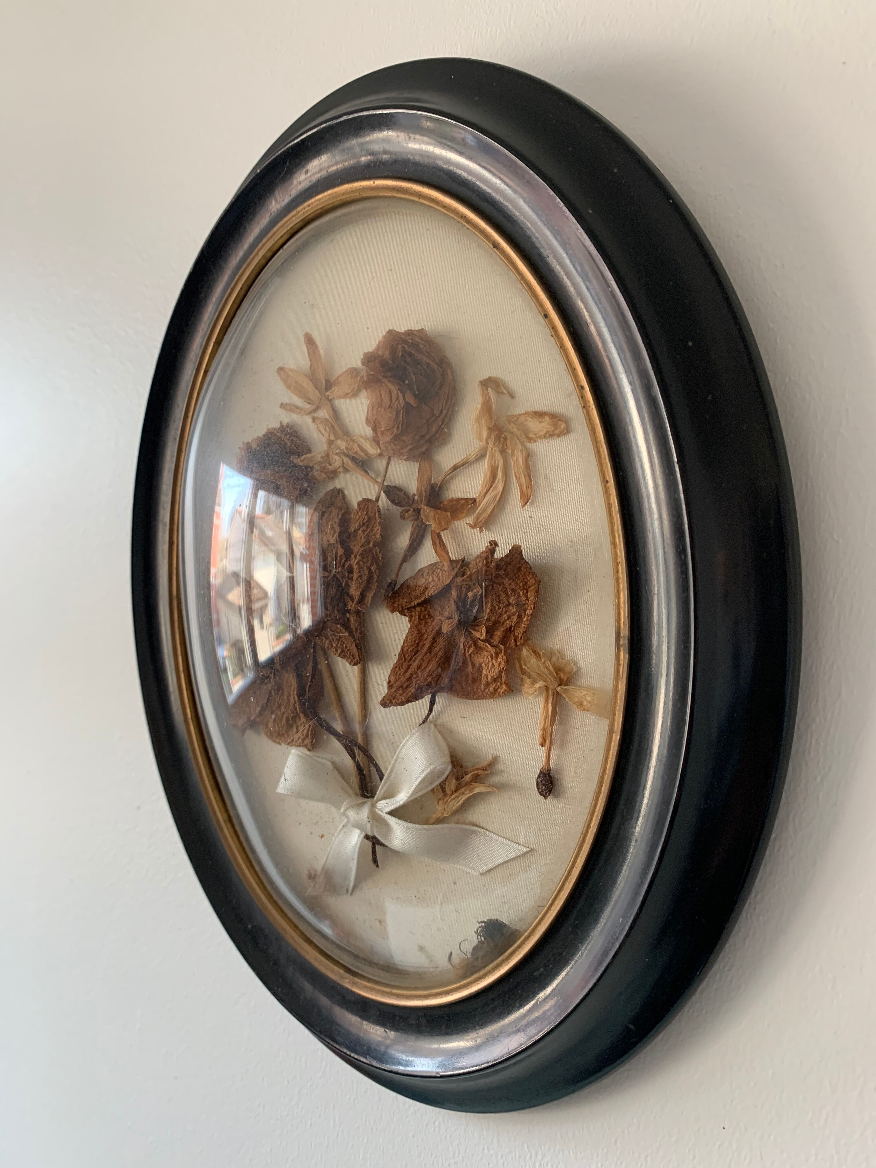 Herbier avec cadre Napoléon III