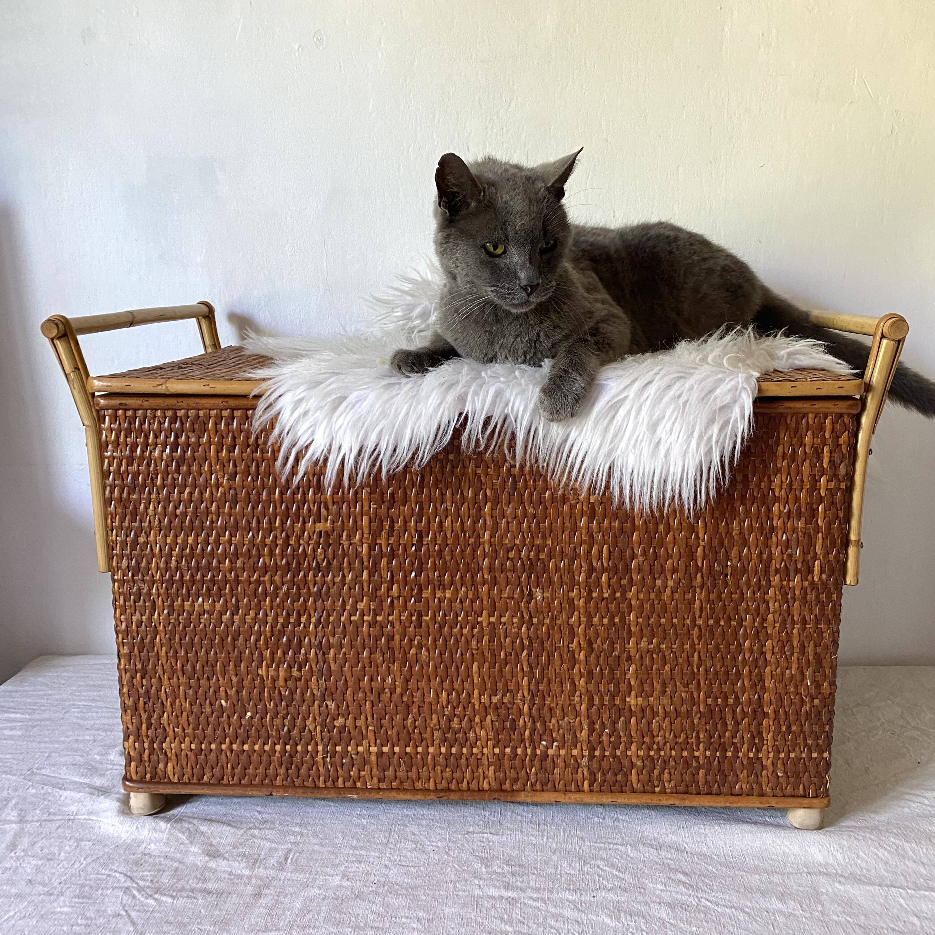 Vintage rattan cane bench chest